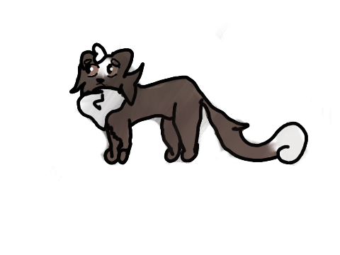 Ferret Art