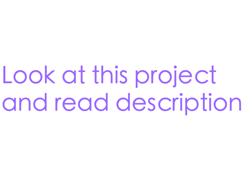 look at the project