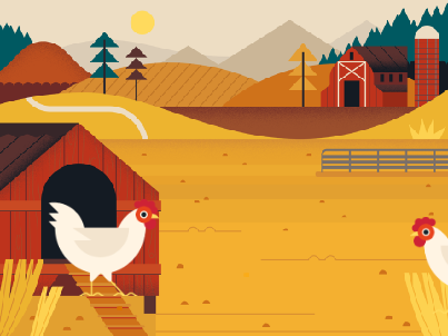 chickens