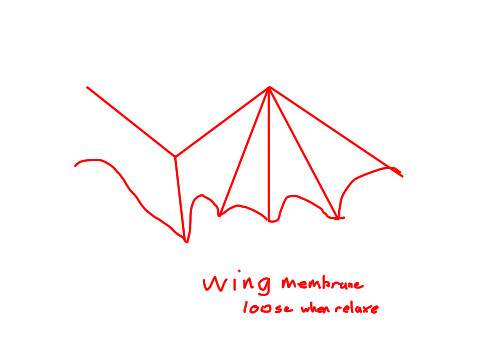 lazy wing guide and other stuff