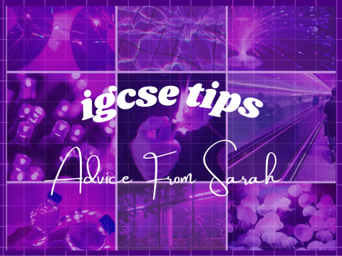 ♫┊igcse tips