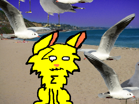 { + SEAGULLS + }remix