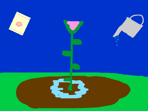 Growing seed