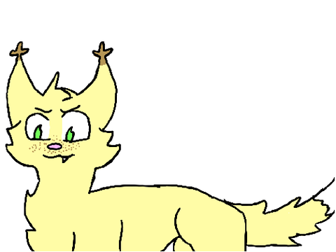 Limekit!!!!!