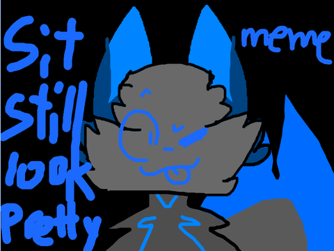 Sit still, Look pretty ~Meme~ 