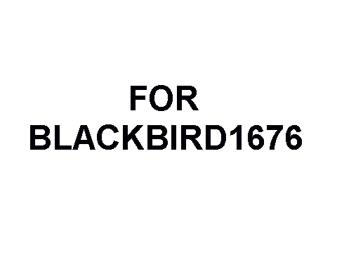 For blackbird1676