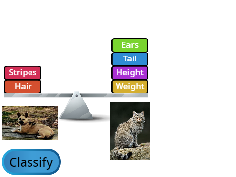 CatDog_Classifier