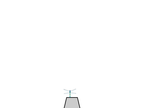 Lander Example