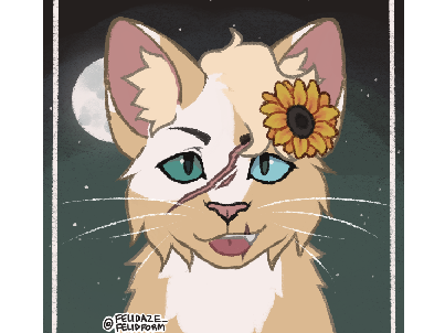 Violetdawn of MeadowClan