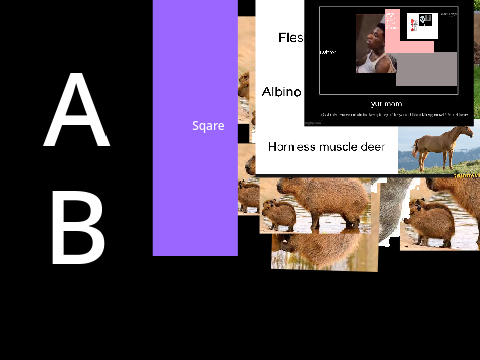 A B