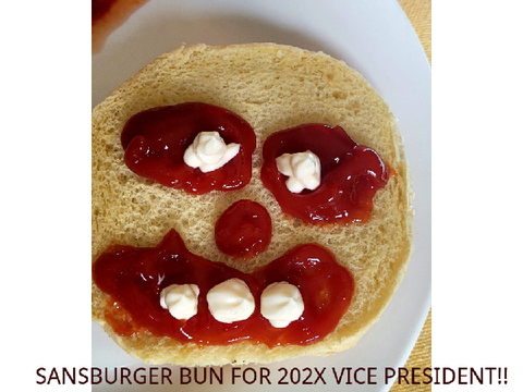 SANSBURGER BUN FOR 202X VICE PRESIDENT!!
