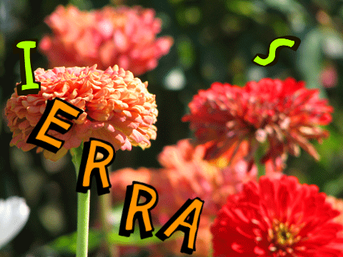 Sapra animate  name sierra k. 