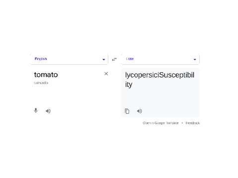 Uhh...Google Translate? What?