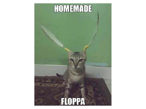 (Open) Floppa DTA!!!!                                                                     #art #DTA