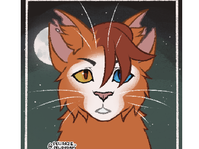 Autumnfire of MeadowClan