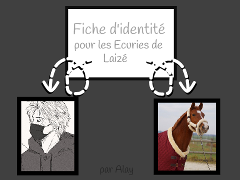 Fiche d'identité - LEDL