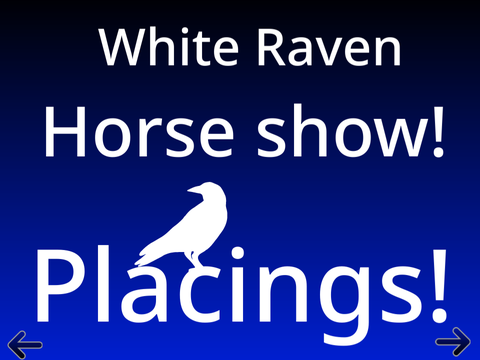 White Raven horse show winners!