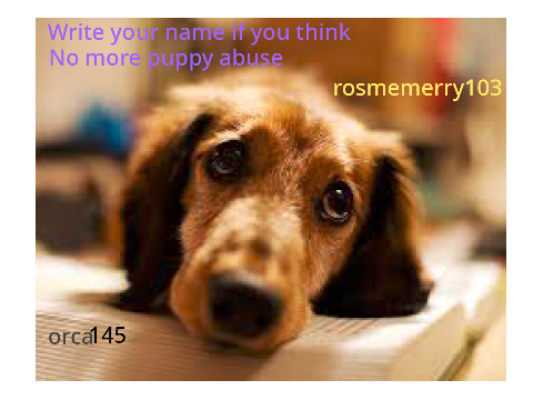 NO MORE PUPPY ABUSE PETITION remix remix