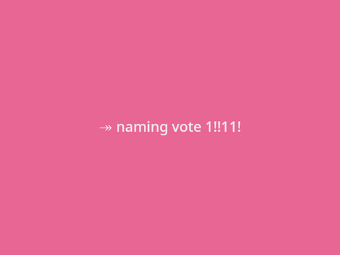 ↠ naming vote 1!!11!