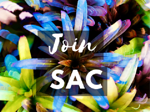 JOIN SCRATCH ART CAMP