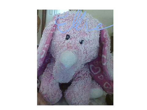 My 10 year old Stuffed Animal!