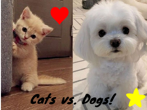 Cats vs. Dogs
