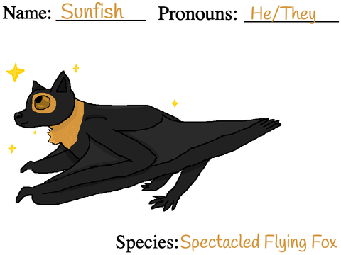 Bat RP-Sunfish