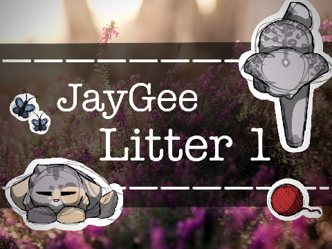 ☼ happiness comes from the most unexpected places [ JayGee Litter 1 ]