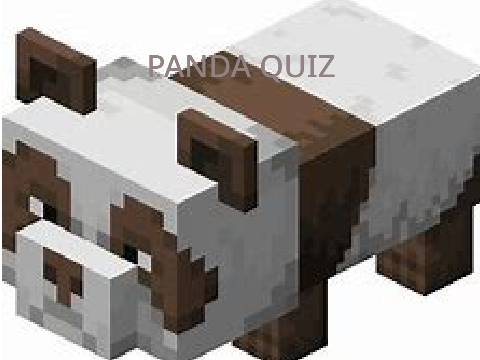 PANDA QUIZ