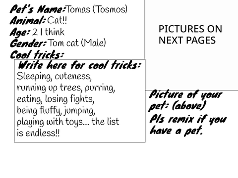 -My pet auditions- 1