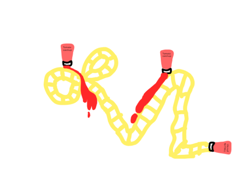 My spaghetti roller coster