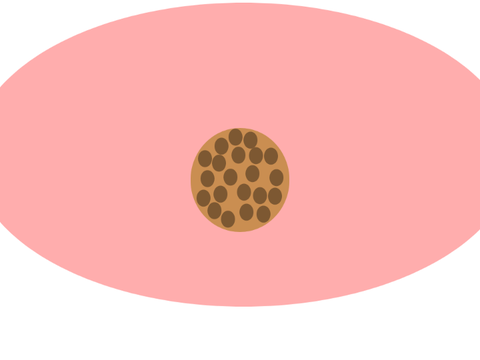 cookie customizer