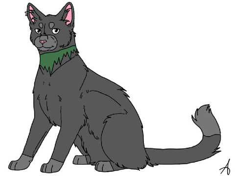 Forest’s Reference