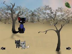 Warrior Cats: Falling Stars part 2 of the series 
