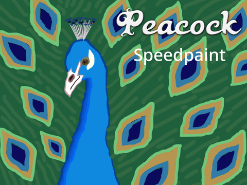 Peacock - Speedpaint  || Bird art #4