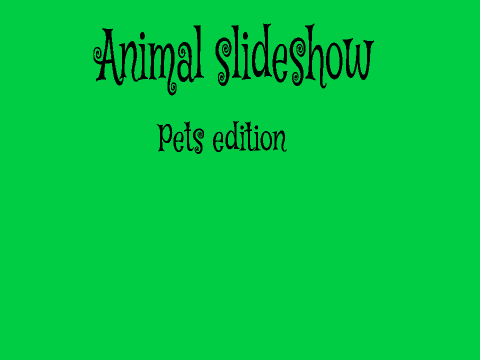 ~Best Slideshow Competition~ remix