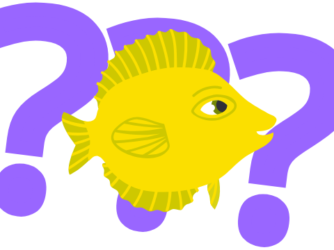 how to become a fish