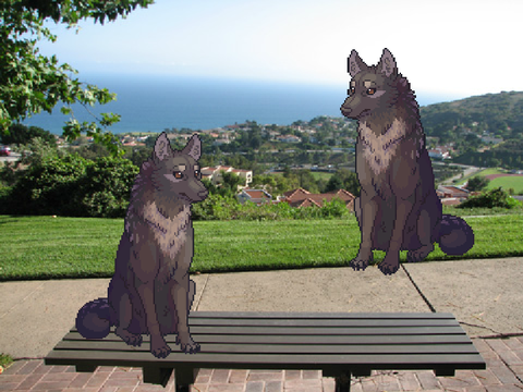 Mad Libs wolf edition (WIP)