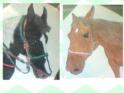 Dakota or Zip? (btw I drew these :D)
