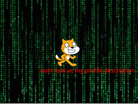 dont look at my profile description