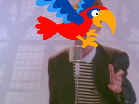 A noisy bird rickrolling people