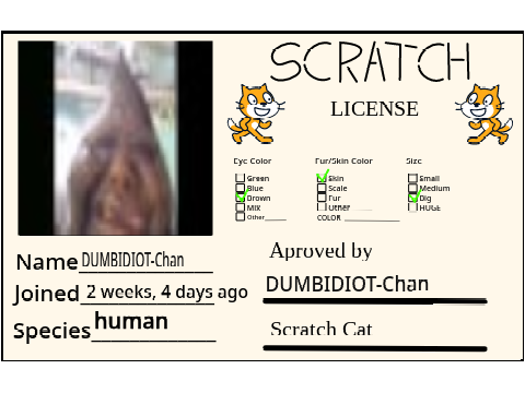 Scratch License for my friend @DUMBIDIOT-Chan