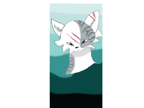 •My Mini Warrior cat Dump•
