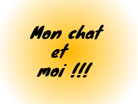 Mon chat et moi !!!