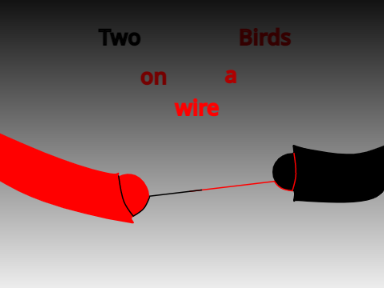 Two Birds On A Wire -map.-