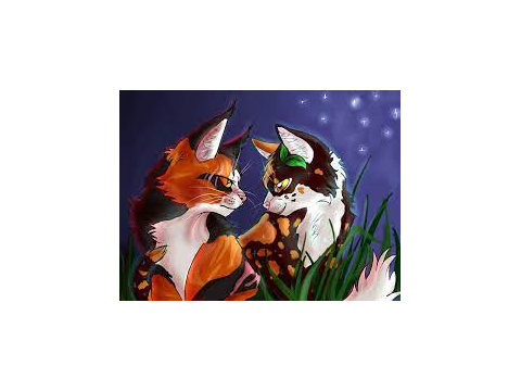 oakfur x birdtail