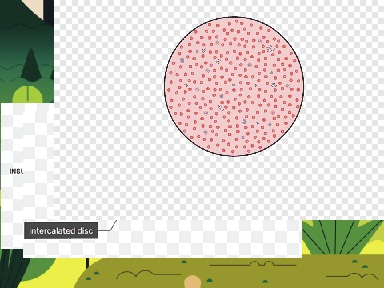 animacion de ciencias remix