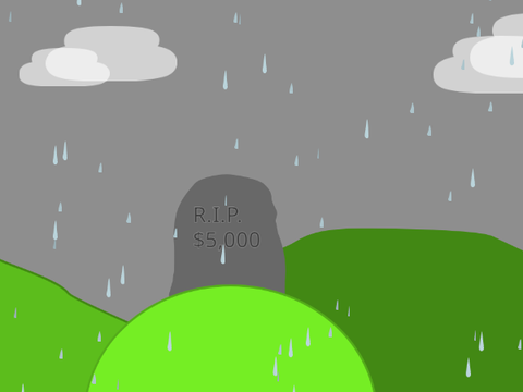R.I.P. $5,000    *CRY*