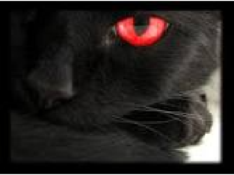 Bloodheart