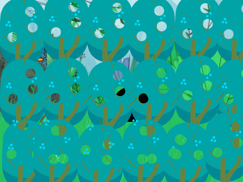 hide and seek